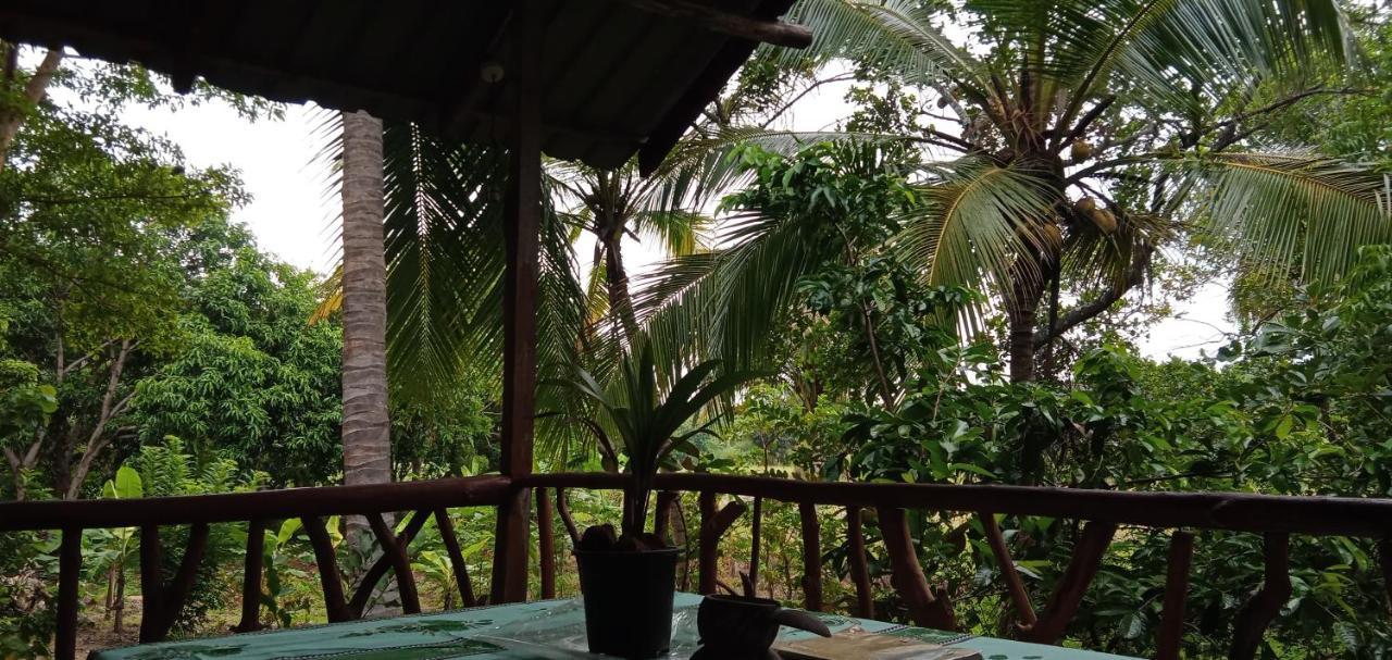 Villa Sigiri Panaromic Tree House Sigiriya Exterior foto